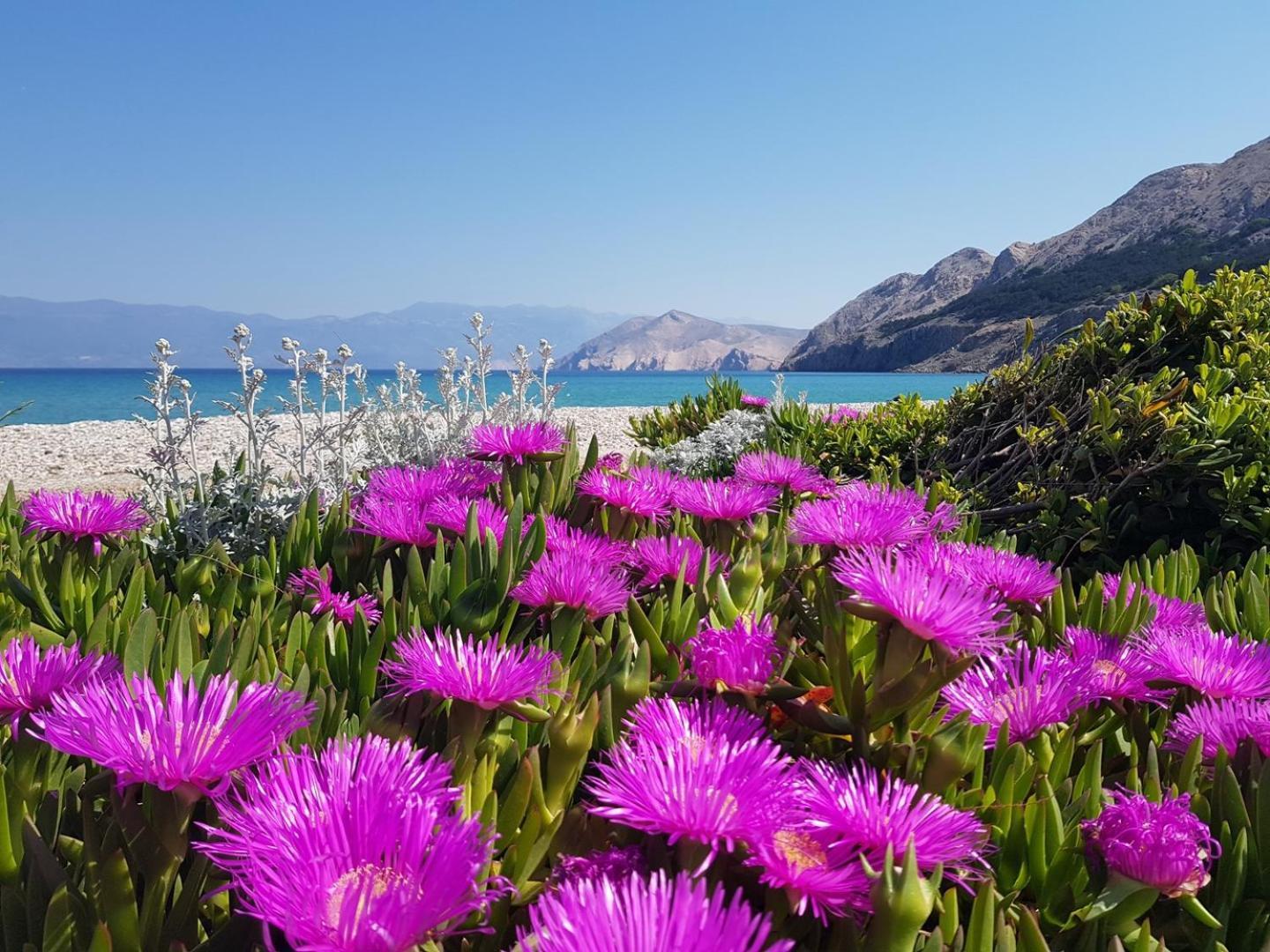 Villa Katarinini Dvori Baška Exteriör bild